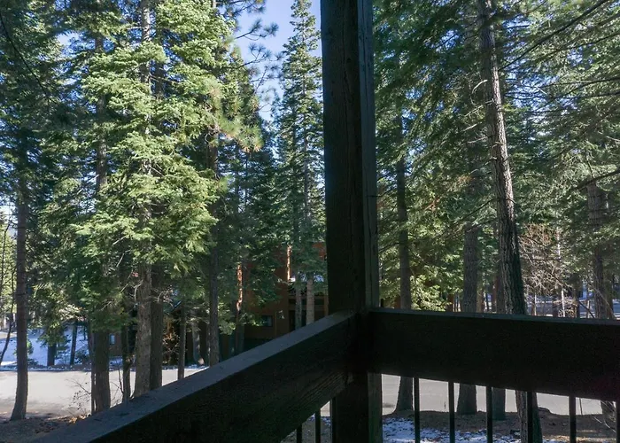 4081 Ski Trails